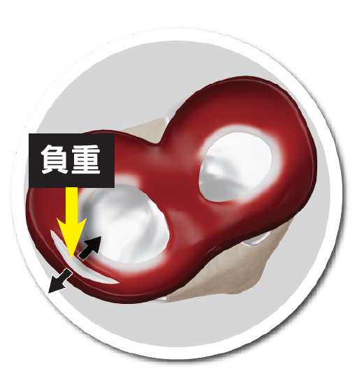 半月板